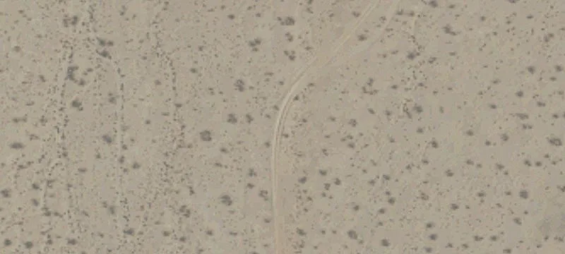 Delaney Rd