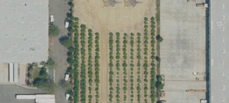 Almond Ave