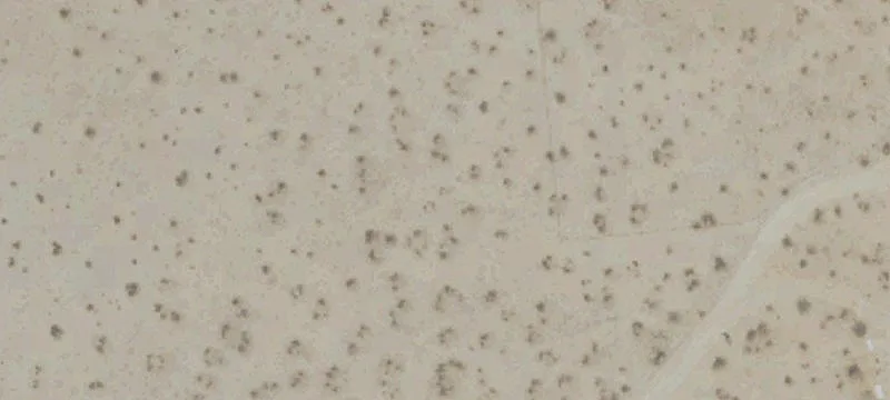 19951 Old El Mirage Rd