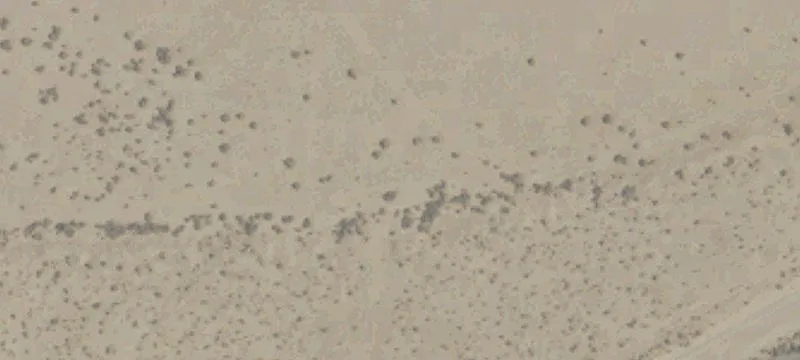 Barstow, CA 92311