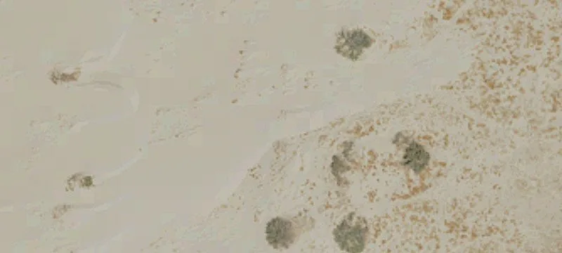 Barstow, CA 92311