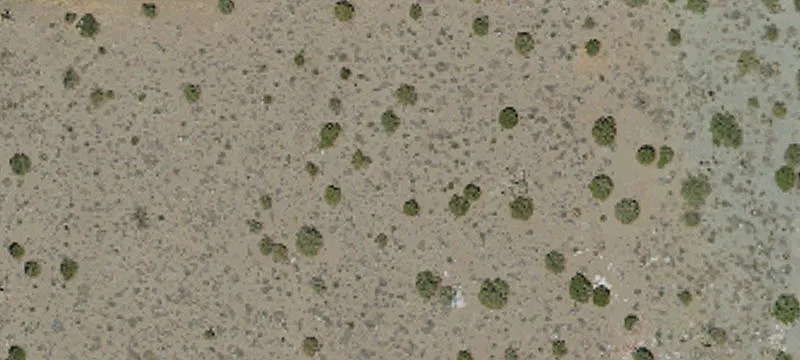 Pinon Hills, CA 92372