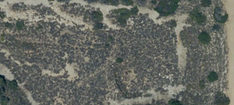 Upland, CA 91784