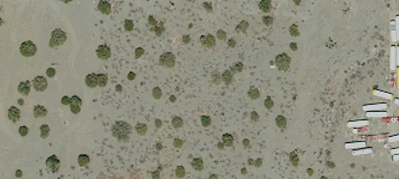 Cholla Rd
