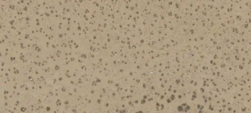 Mojave Dr