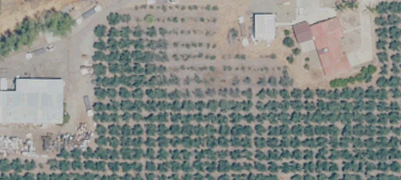 35989 Rd 212