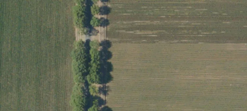 Tulare, CA 93274
