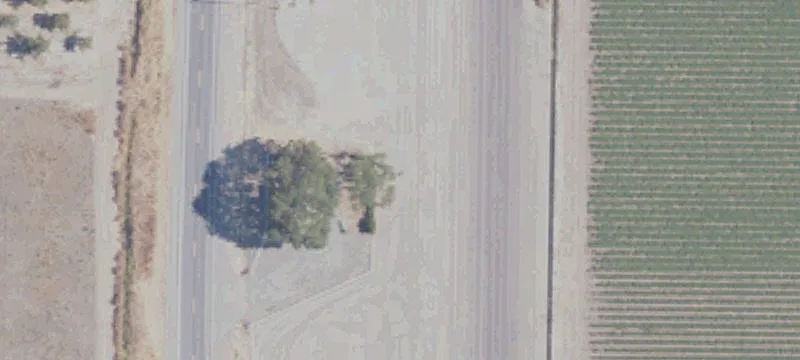 20510 State Hwy 113