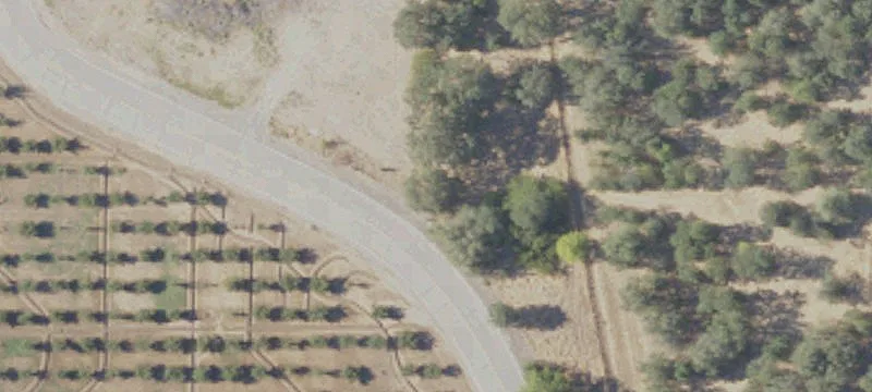Hwy 99