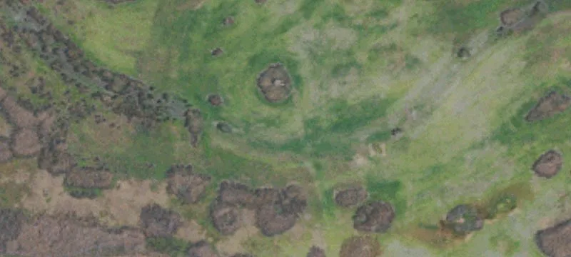Davis, CA 95691