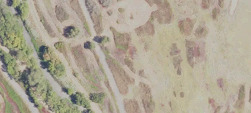 Live Oak, CA 95953