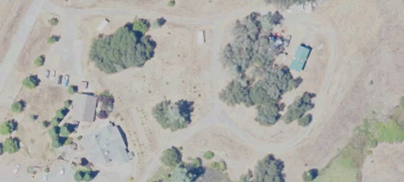 10024 Linnet Ln