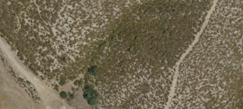 2915 Calf Cyn Hwy