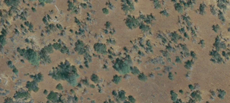 41110 Road 600