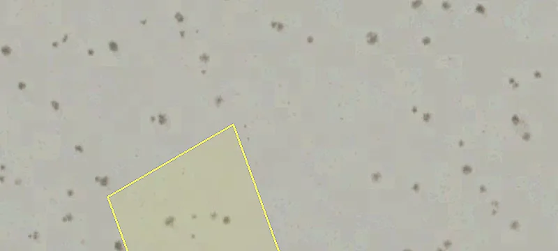 Rancho Mirage, CA 92270