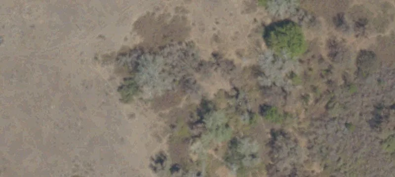 3621 Rhonda Rd