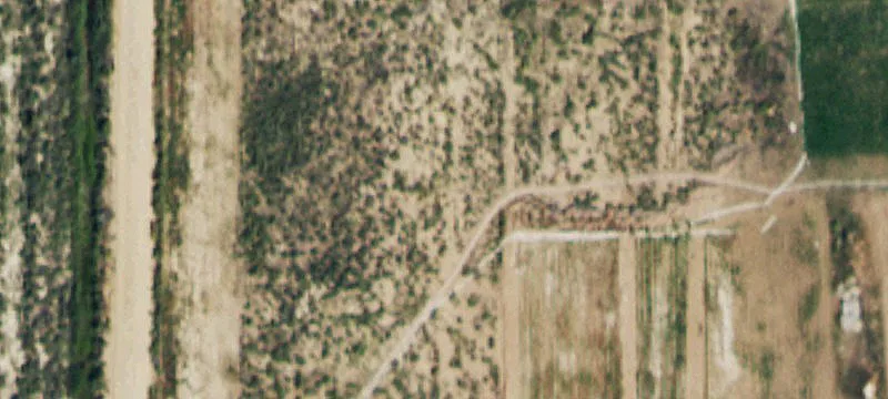 121 Jack Herer Ln