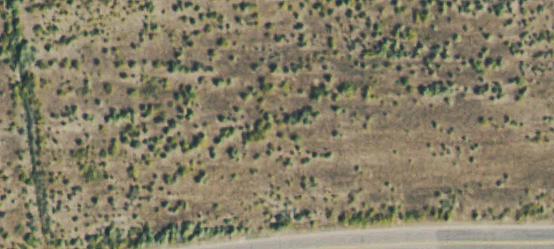220 Mcgregor Dr