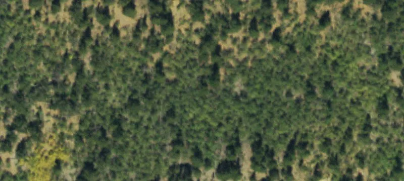 4205 Hwy 91b