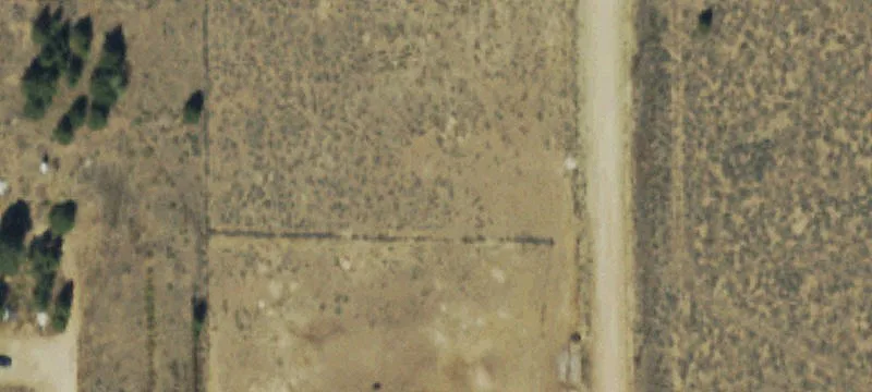 979 Loop Rd
