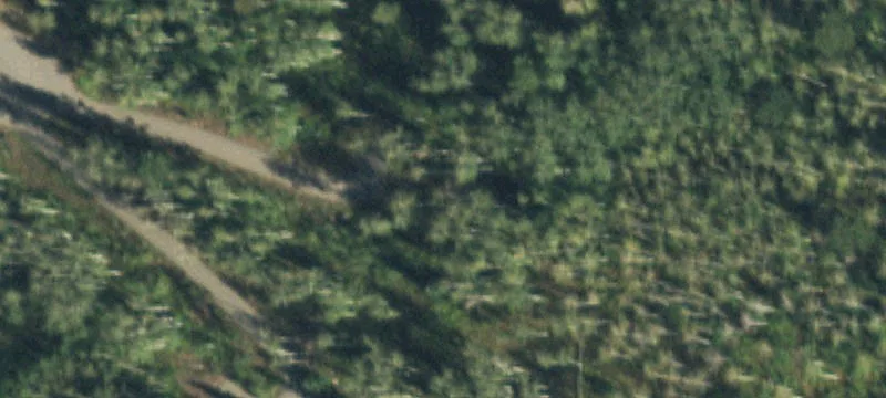 1025 Forest Trl