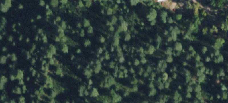 1567 County Rd 207