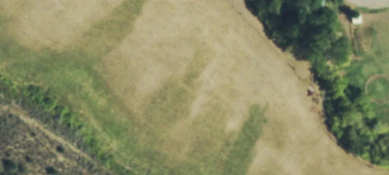 596 County Rd 113