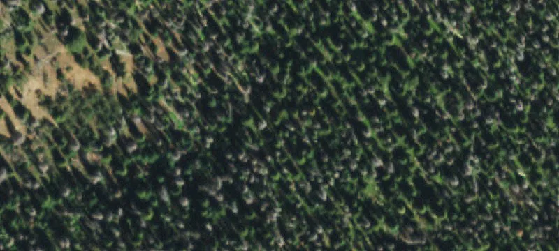 Del Norte, CO 81132