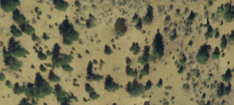 Villa Grove, CO 81155