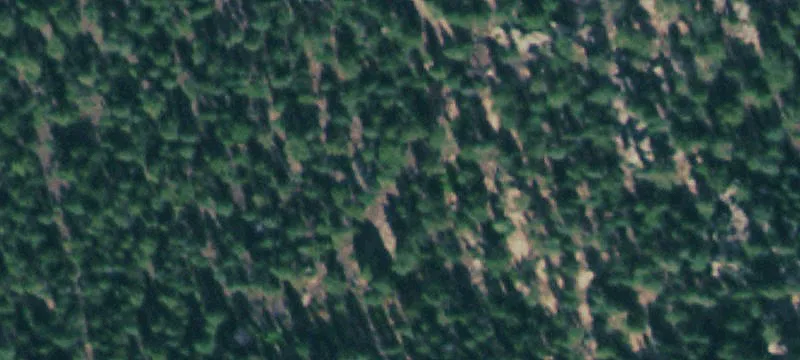 Estes Park, CO 80517