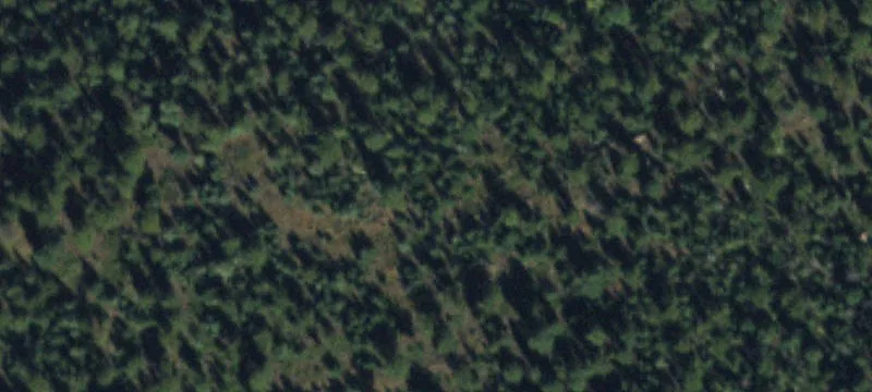 11853 Elk Crk Rd