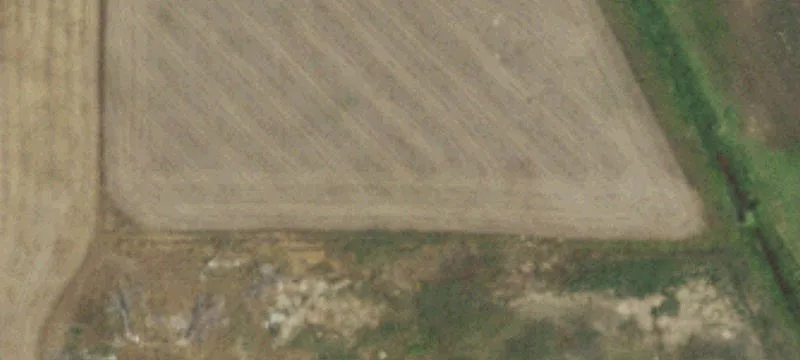 Timnath, CO 80547