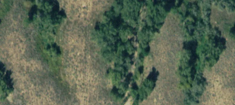 53491 Us Hwy 50