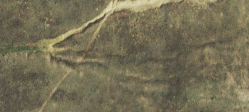 35443 Us Hwy 24