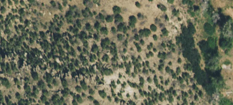 2095 County Rd 132