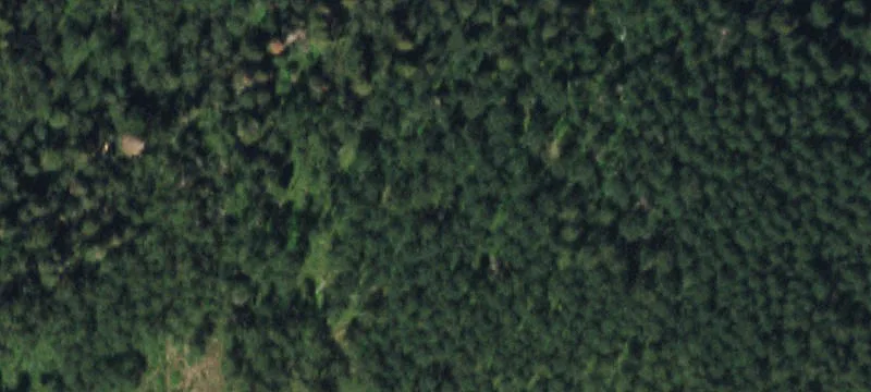Placerville, CO 81430