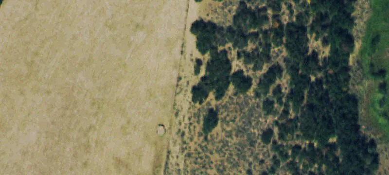 1250 County Rd 69