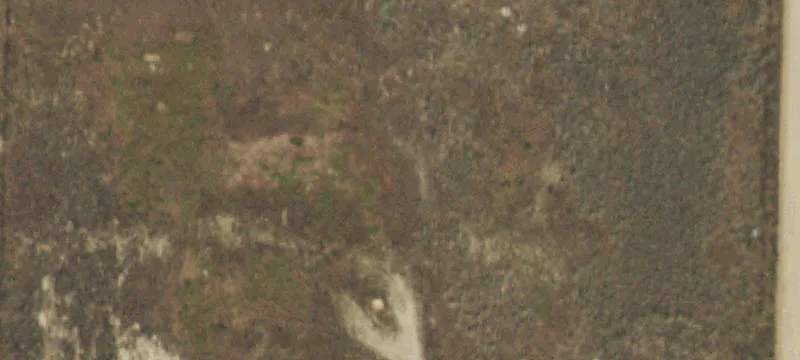 17509 County Rd 14