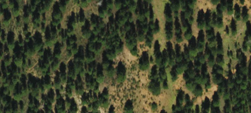 Woodland Park, CO 80863