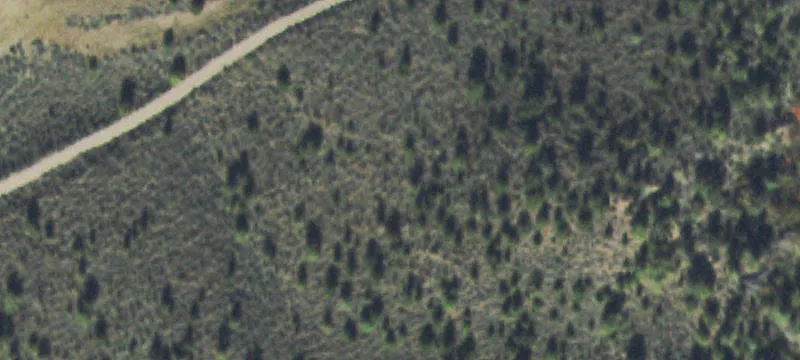 13551 Hwy 131