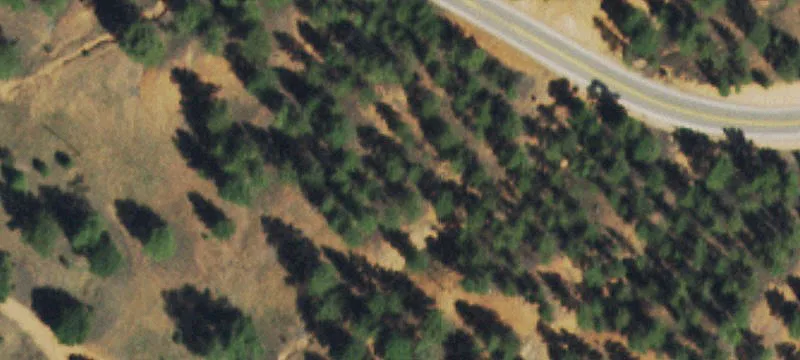 24675 County Rd 126