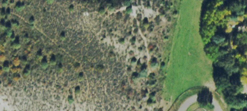 28 1st Stc-2