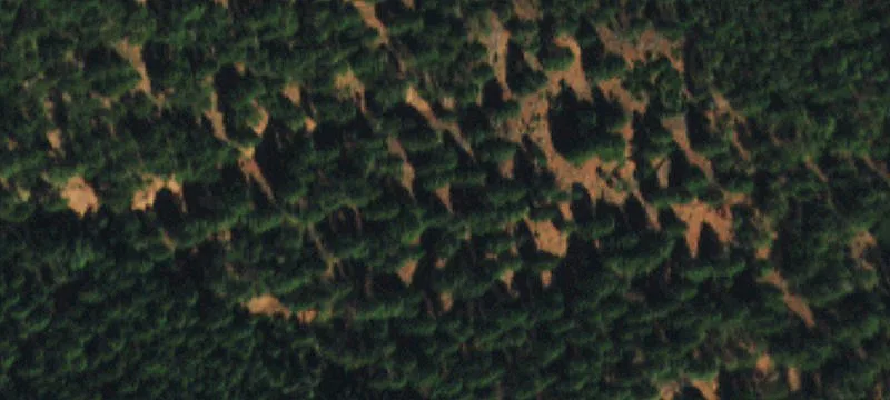Larkspur, CO 80118