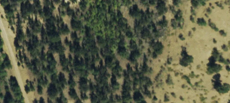 Villa Grove, CO 81155