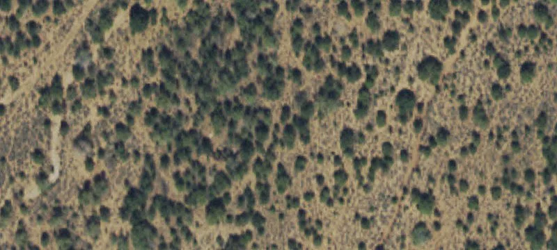 2984 Black Canyon Rd