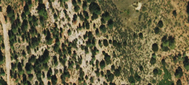 Cyn Dr