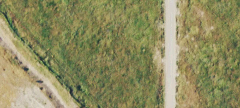 Redvale, CO 81431