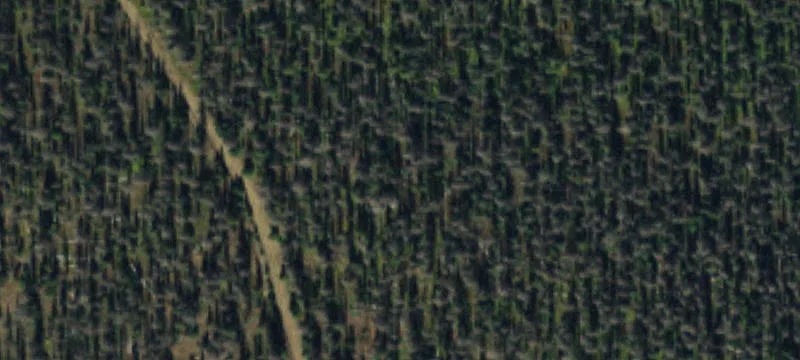 Villa Grove, CO 81155