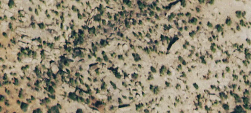 31160 Hwy 141