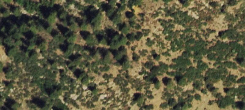 Cripple Creek, CO 80813